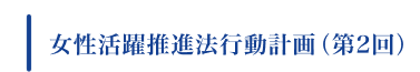 女性活躍推進法行動計画（第2回）
